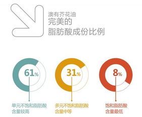 自贸区内智利原产橄榄油转口贸易可行性分析