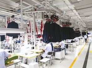 上半年重量级项目齐聚宁波，规上工业争出新速度，国内一般贸易稳步提升